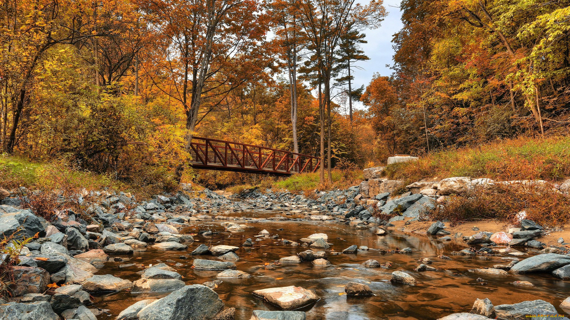 wilket creek park, toronto, ontario, ������, - �����, wilket, creek, park